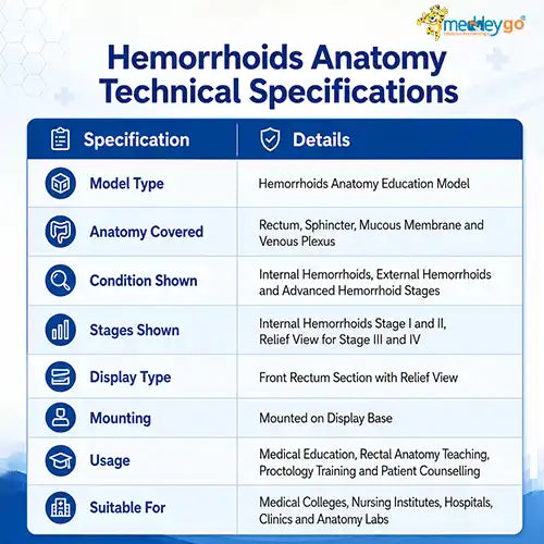 hemorrhoids anatomy 