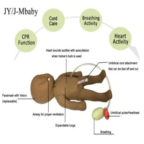 infant cpr manikin