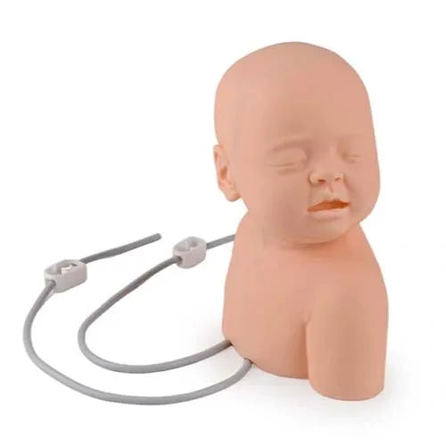 infant scalp intravenous