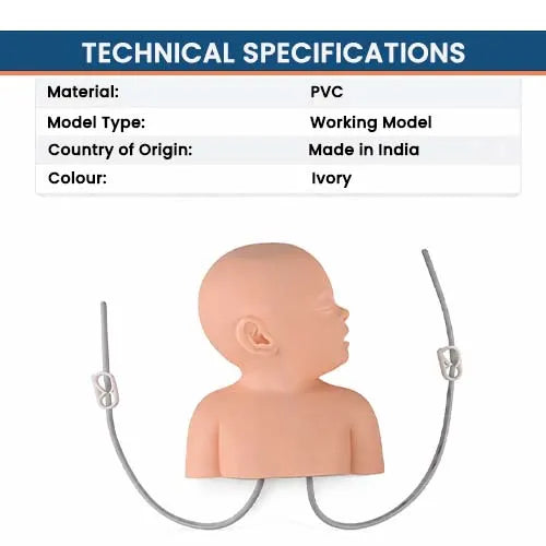 infant scalp intravenous 
