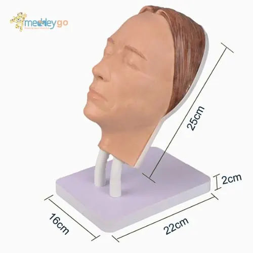 injection training model