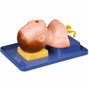 intubation model