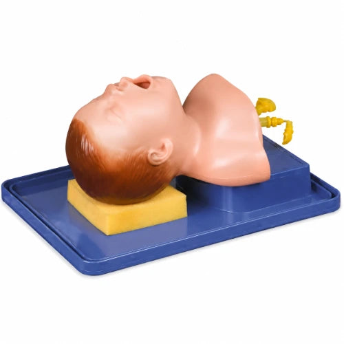 intubation model