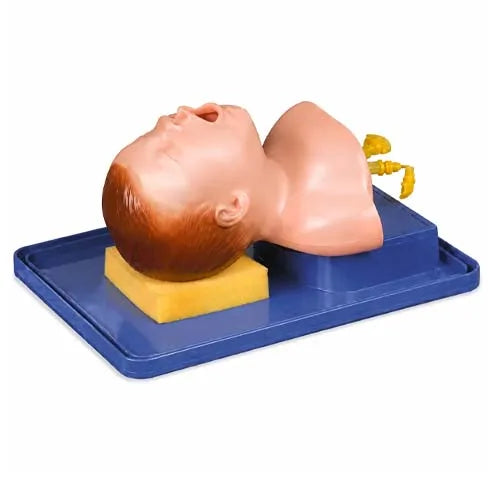 intubation model