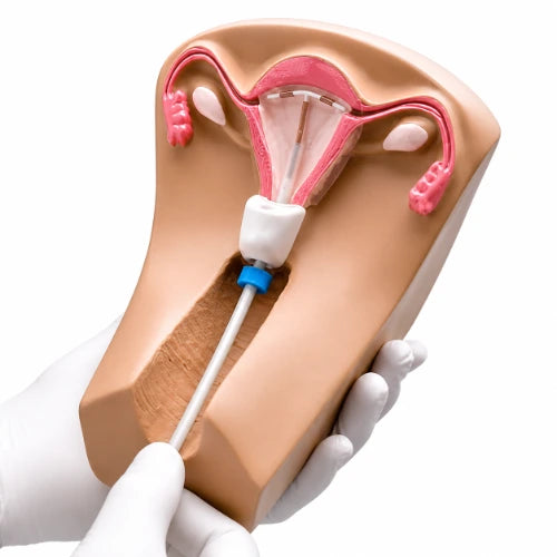 iud model