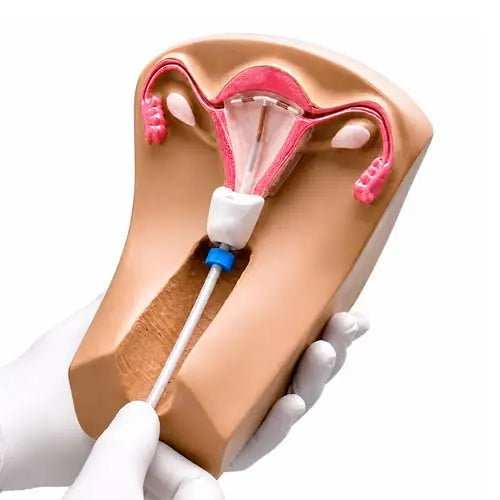 iud model 
