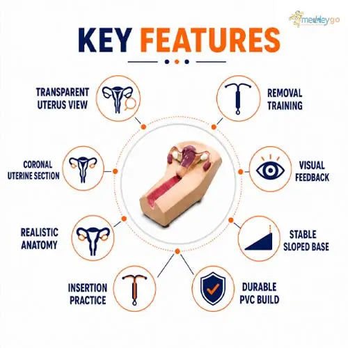 iud training model