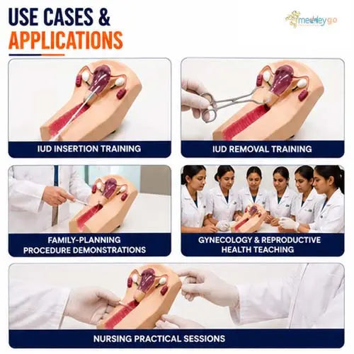 iud training model