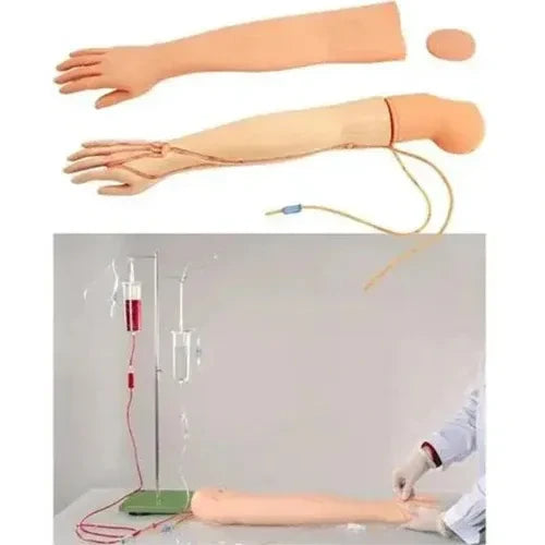 iv training arm model
