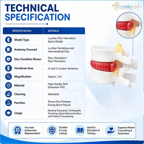 lumbar disc spine