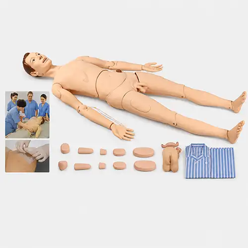 male nursing manikin
