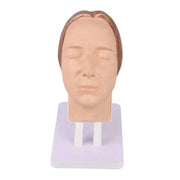 mannequin head