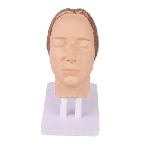mannequin head