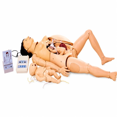 maternal and neonatal simulator