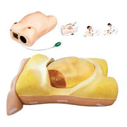 maternity examination model