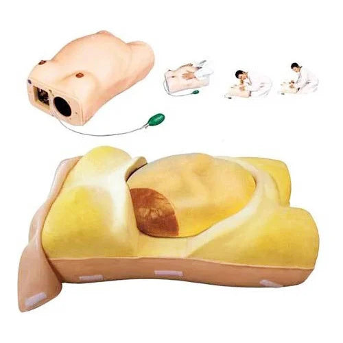 maternity examination model