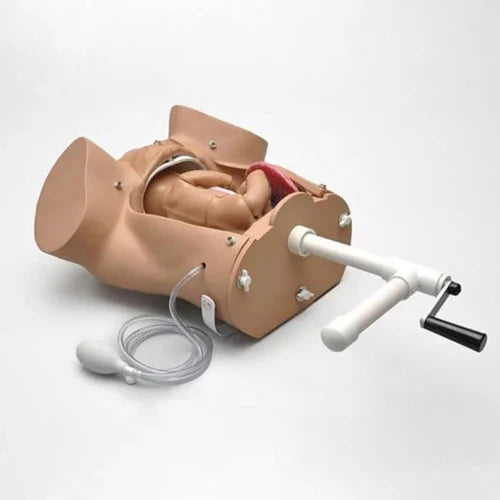 mechanism integrated simulator