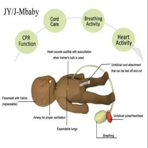 Newborn Baby Resuscitation 