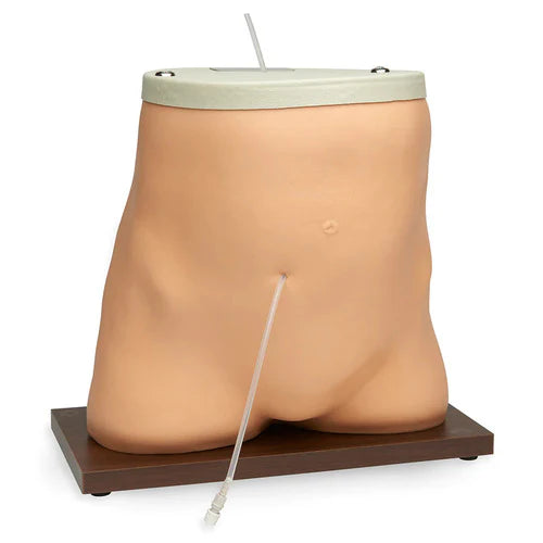 peritoneal dialysis model
