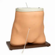 peritoneal dialysis model