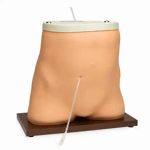 peritoneal dialysis model