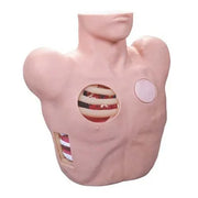 pleural drainage simulator