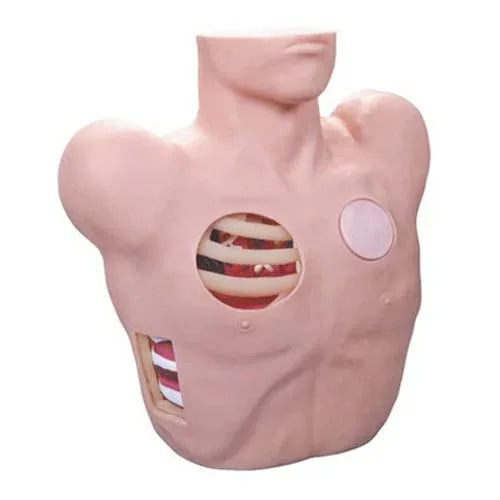 pleural drainage simulator