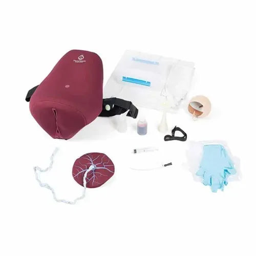 postpartum uterus trainer