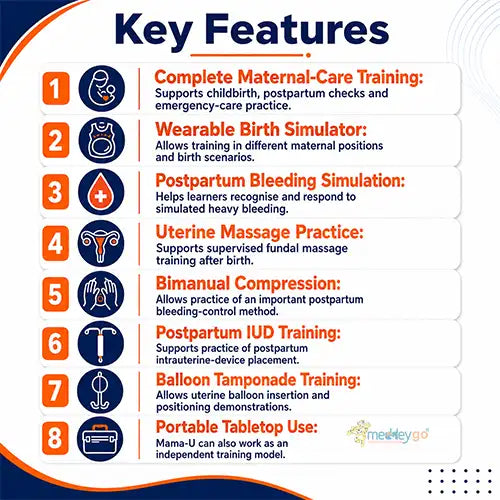 postpartum uterus trainer