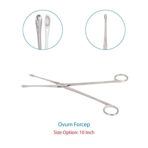 Premium Ovum Forceps Size 10