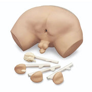 Prostate Examination Simulator