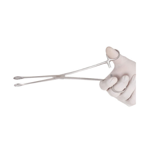 Sponge Holding Forcep 10 inch