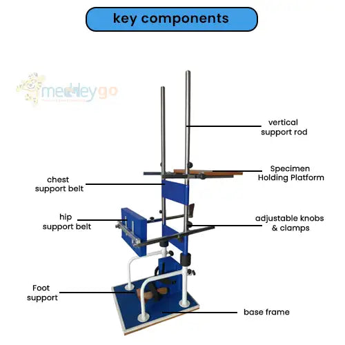 standing frame adult 