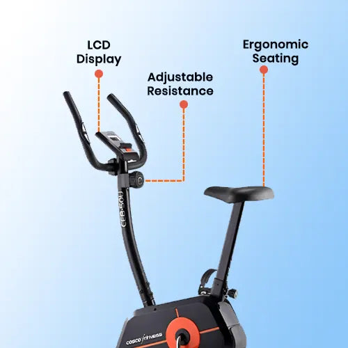 static cycle for exercise price