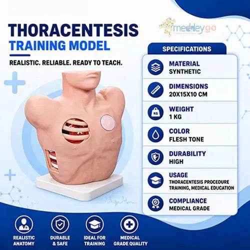 thoracic training manikin 