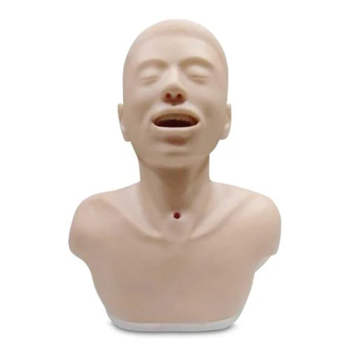 tracheostomy model