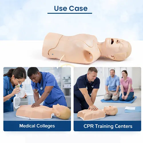  tracheostomy training manikin