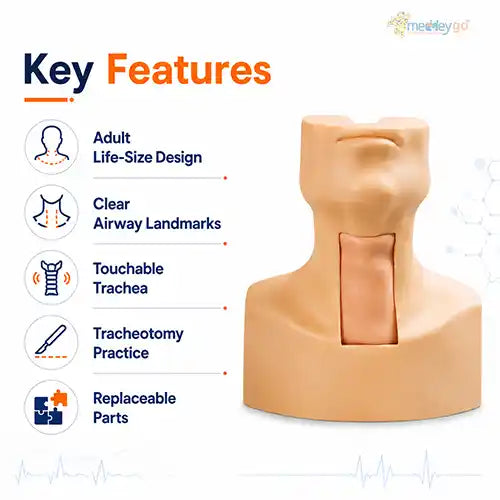 tracheotomy model endotracheal intubation