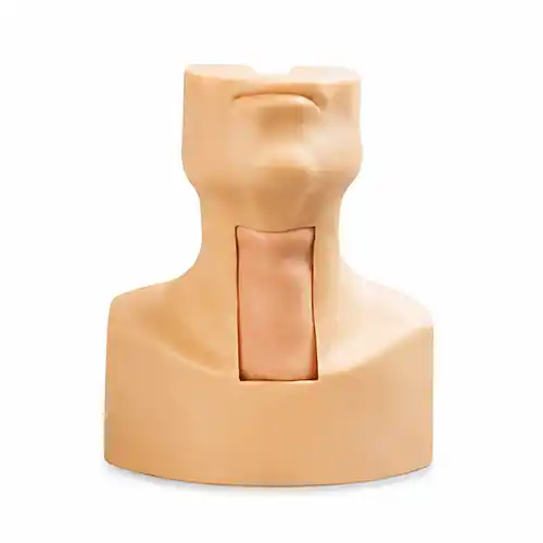 tracheotomy model endotracheal intubation