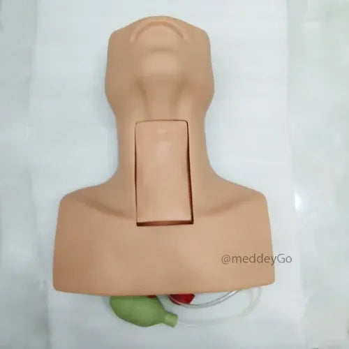 tracheotomy model endotracheal intubation