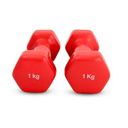 vinyl dumbbell 